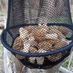 Morel Mushroom Bag Mor Expandable Bucket Deluxe Mesh Bag